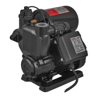 Насосная министанция PWZ-250/0,25 кВт/H=30m/Qmax 37 l/min/вихревая/интеллектуальное управление   (KP3428)
